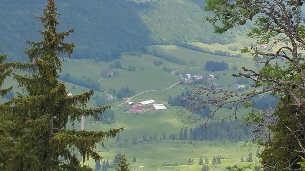 Les Chamois Lejlighed Lajoux Eksteriør billede