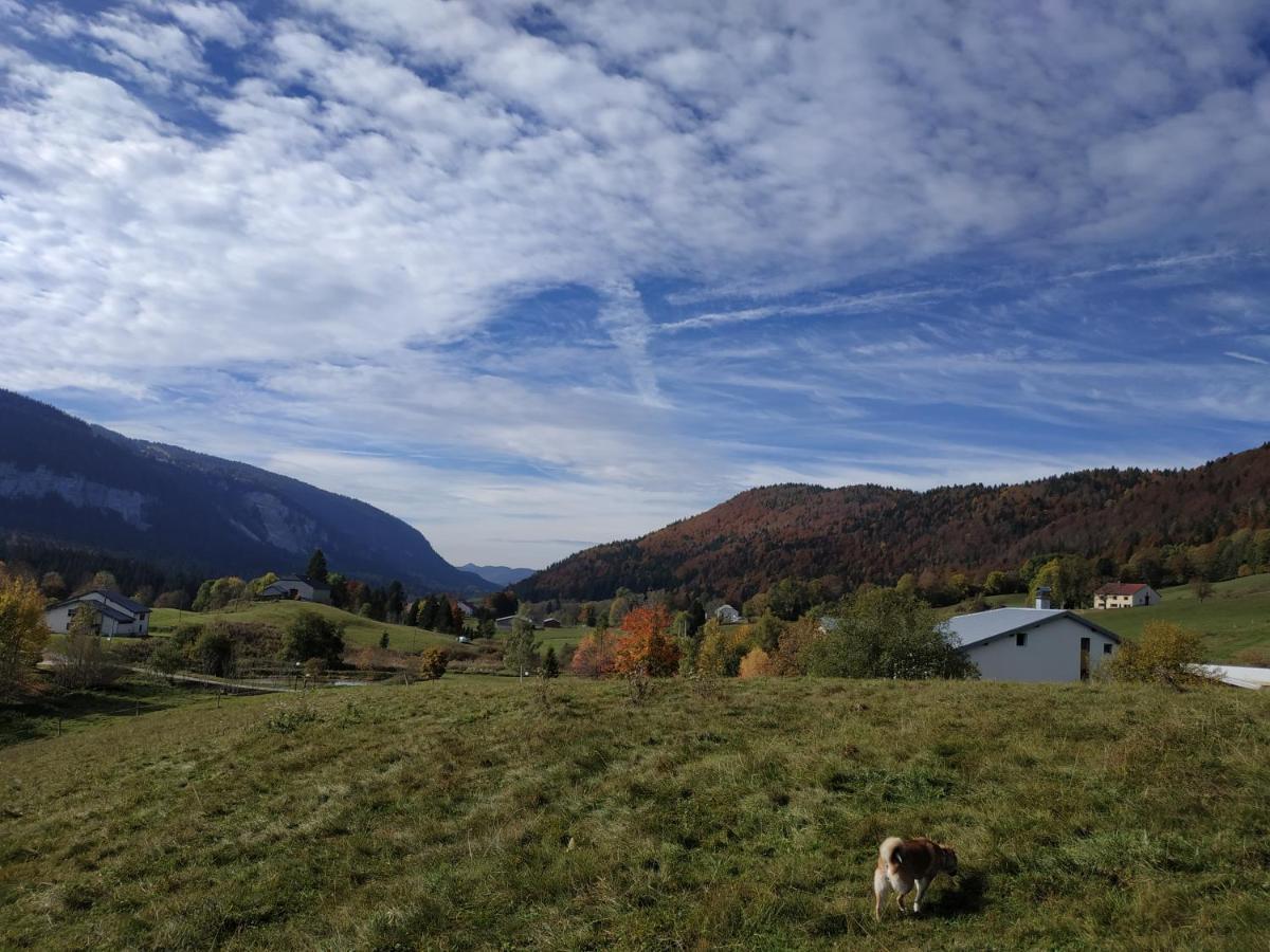 Les Chamois Lejlighed Lajoux Eksteriør billede